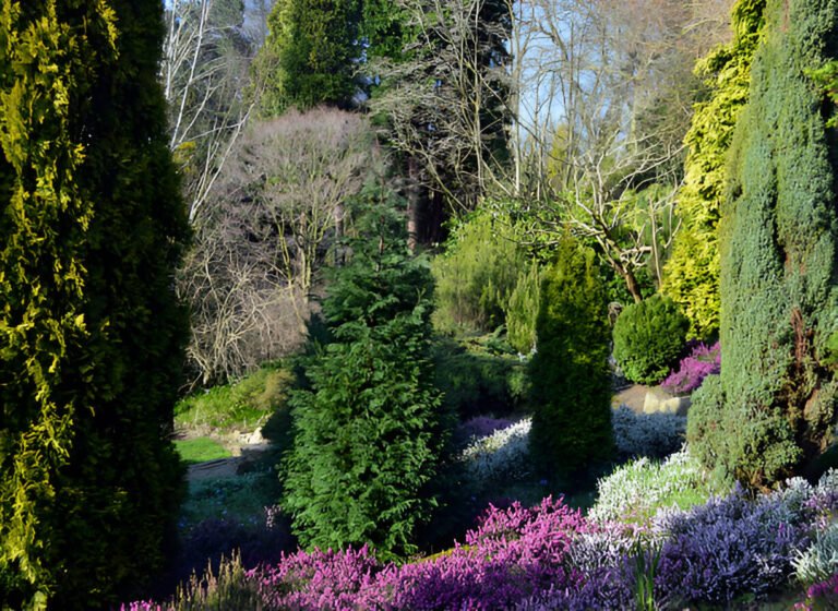 Places to Visit in Manchester for Free, Fletcher Moss Botanical Garden