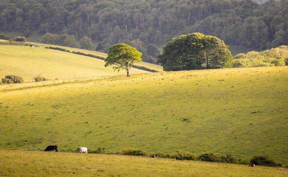 Ditchling Beacon, devil's dyke